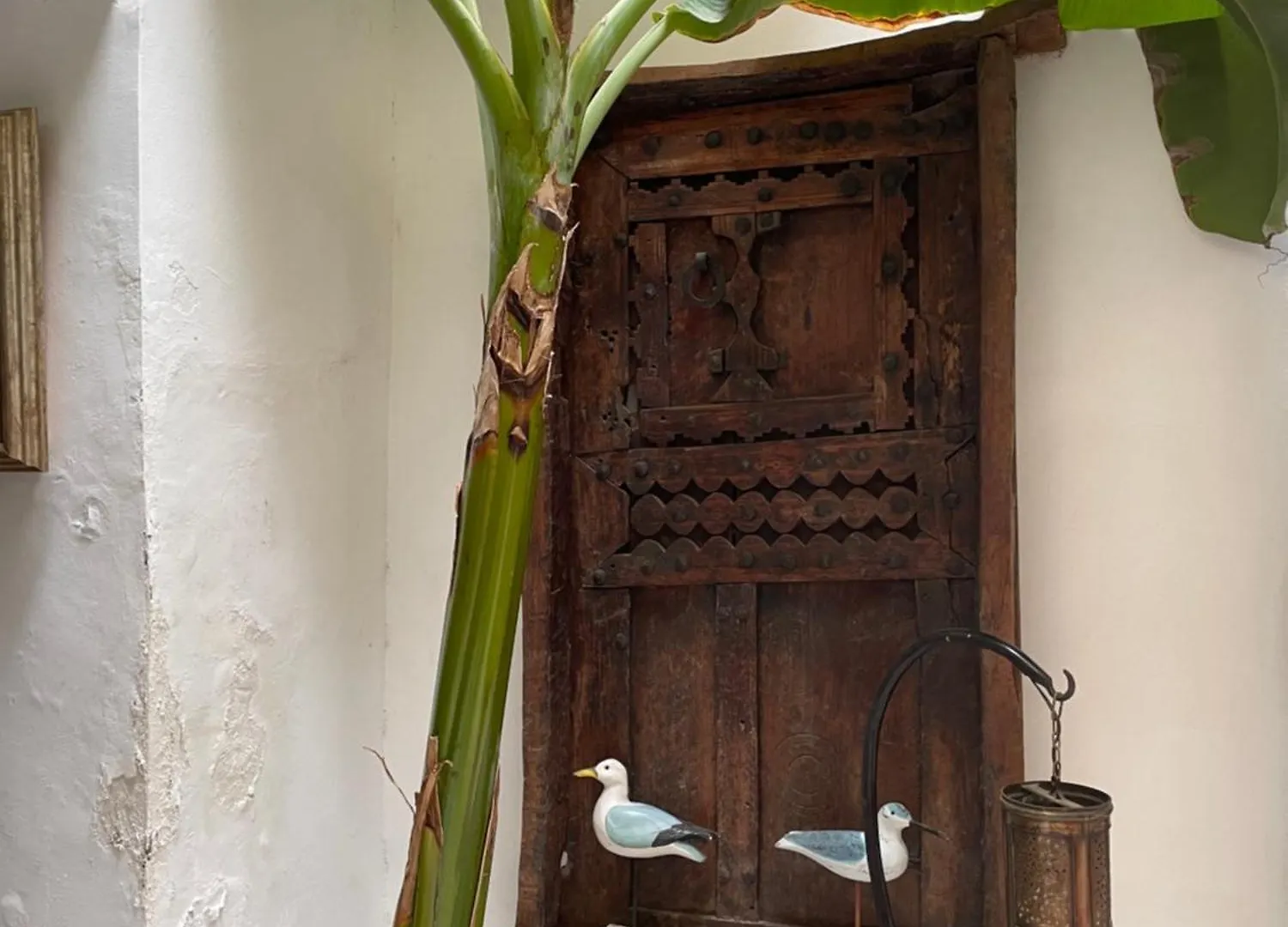 Riad Dom,Luxueuse Maison D'Artiste 마라케시 모로코