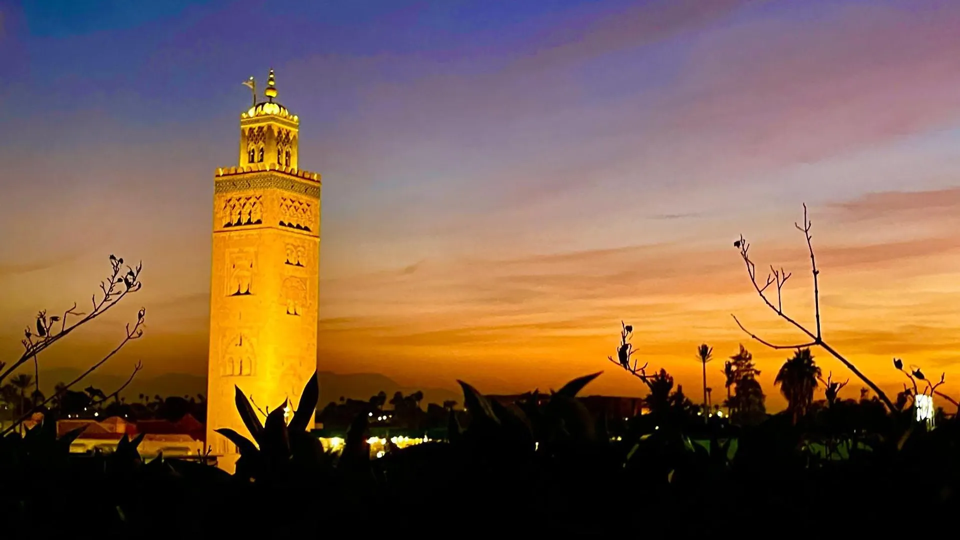 Riad Dom,Luxueuse Maison D'Artiste Marrakesh Villa