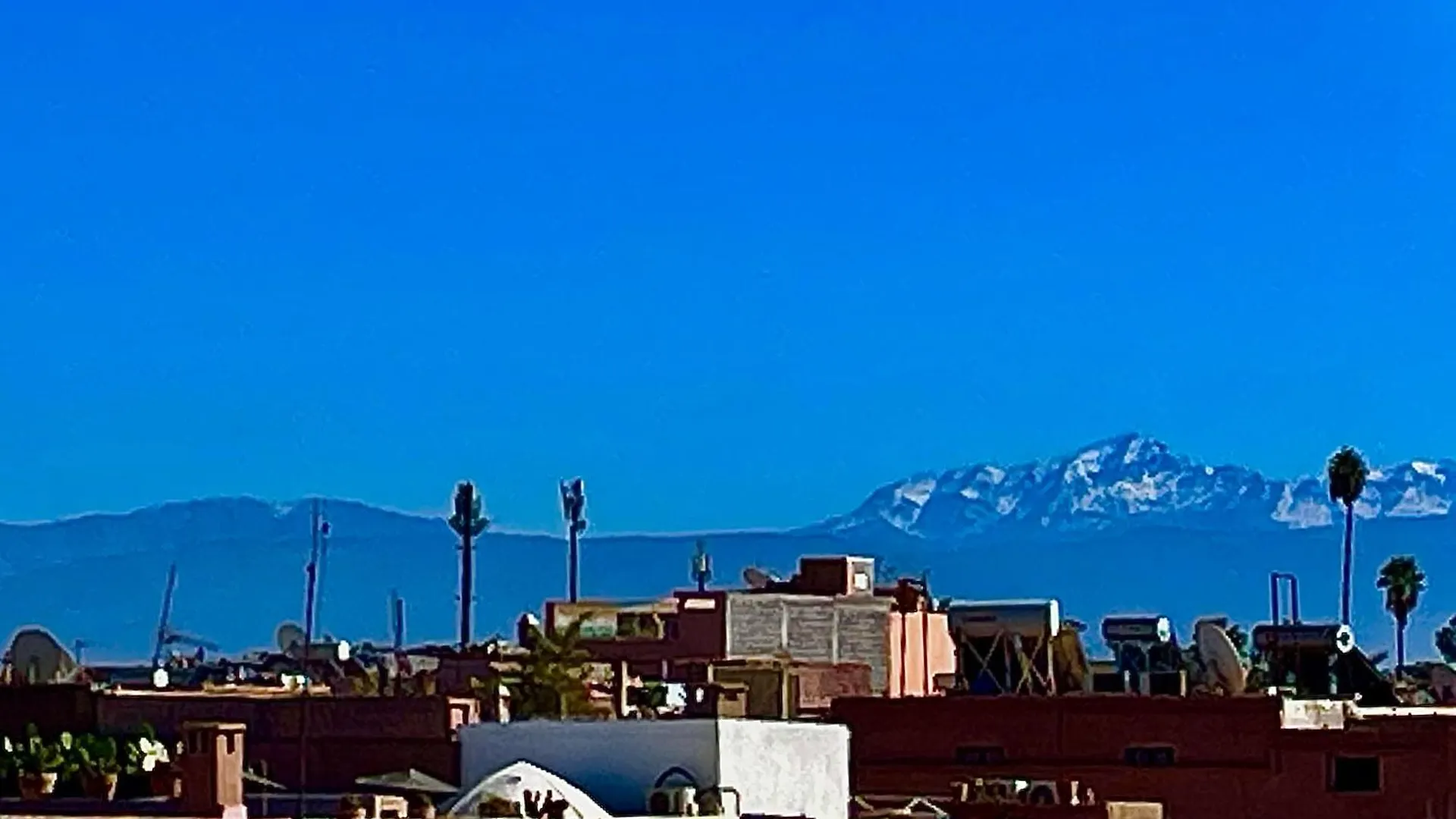 Riad Dom,Luxueuse Maison D'Artiste Marrakesh Villa